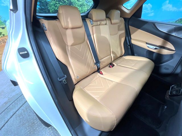 Lexus NX 9
