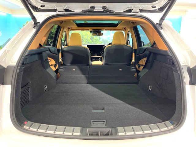 Lexus NX 10