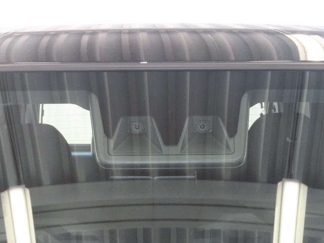 Daihatsu Taft 10