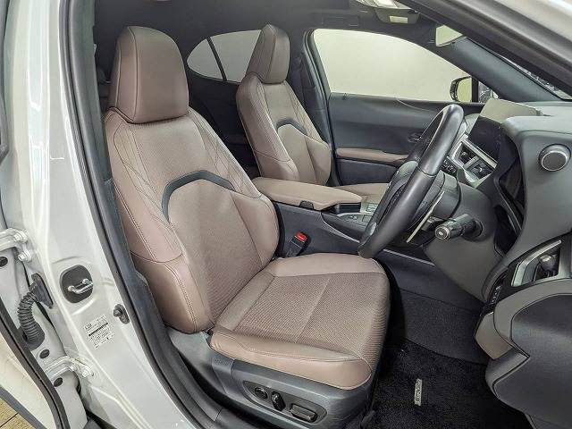 Lexus UX 11