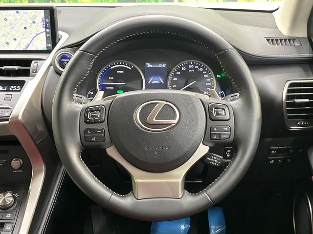 Lexus NX 11