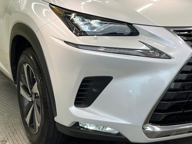 Lexus NX 12