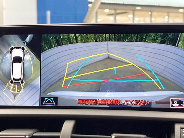 Lexus NX 6