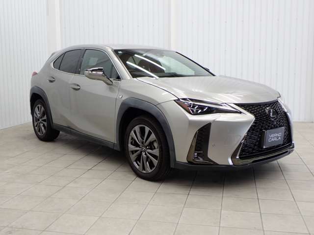 Lexus UX 11