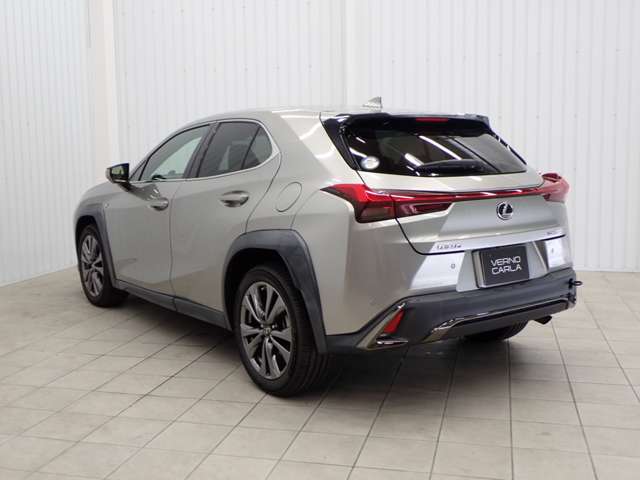 Lexus UX 12