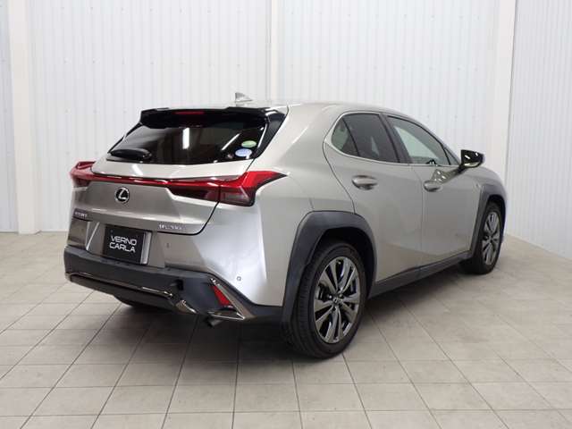 Lexus UX 9
