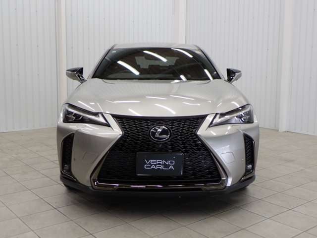 Lexus UX 10