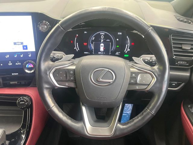 Lexus NX 12