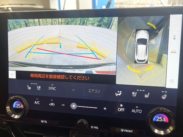 Lexus NX 4