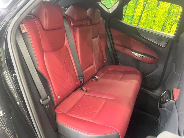 Lexus NX 10