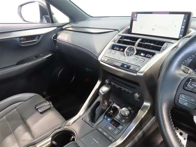 Lexus NX 12