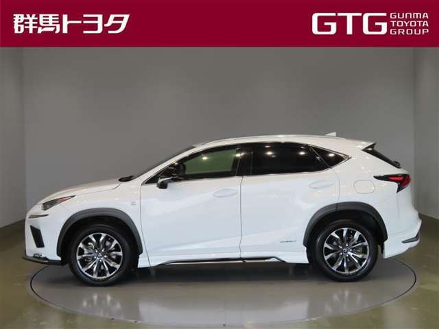 Lexus NX 4
