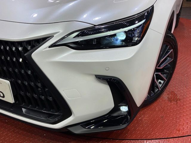 Lexus NX 12