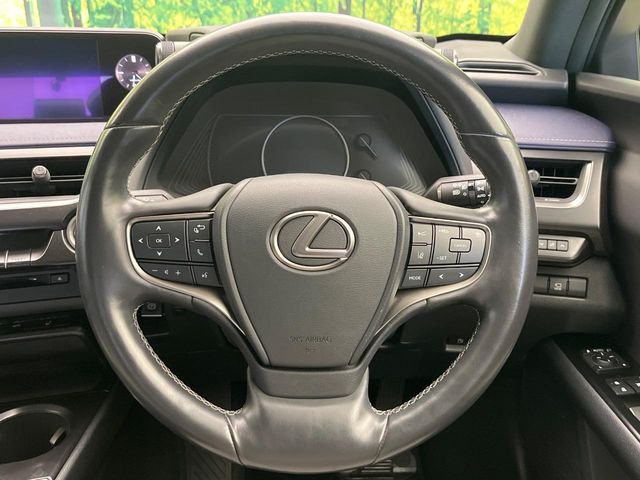 Lexus UX 11