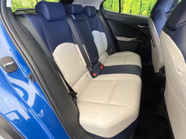 Lexus UX 9