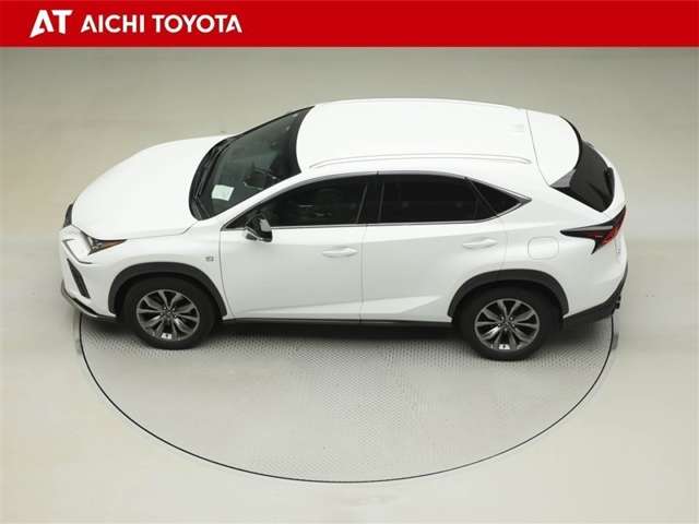 Lexus NX 11