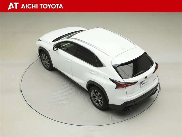 Lexus NX 12