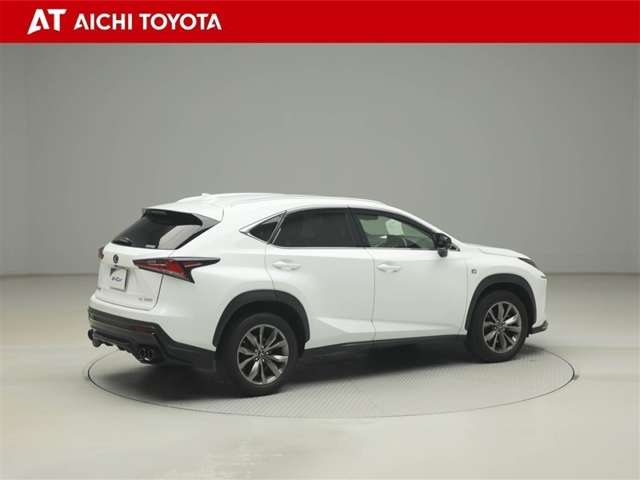 Lexus NX 6