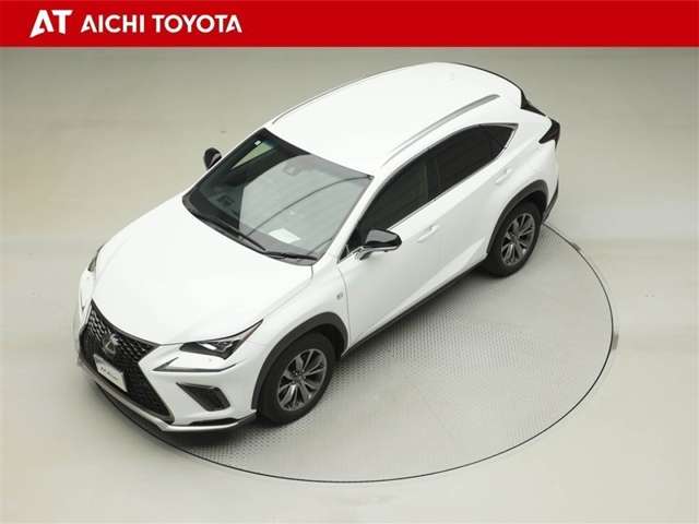 Lexus NX 10