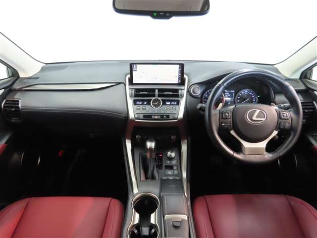 Lexus NX 11