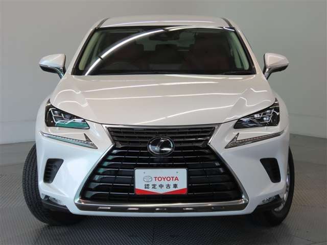 Lexus NX 4