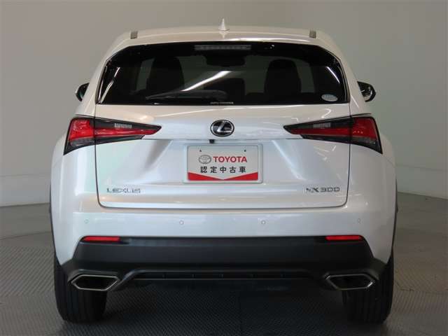 Lexus NX 7