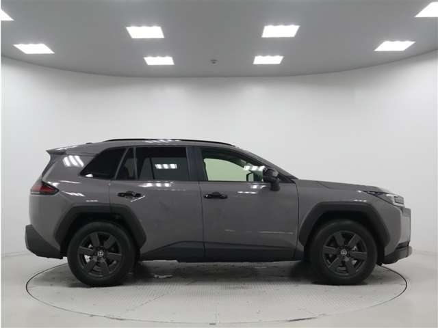 Toyota RAV4 10