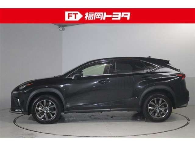 Lexus NX 4