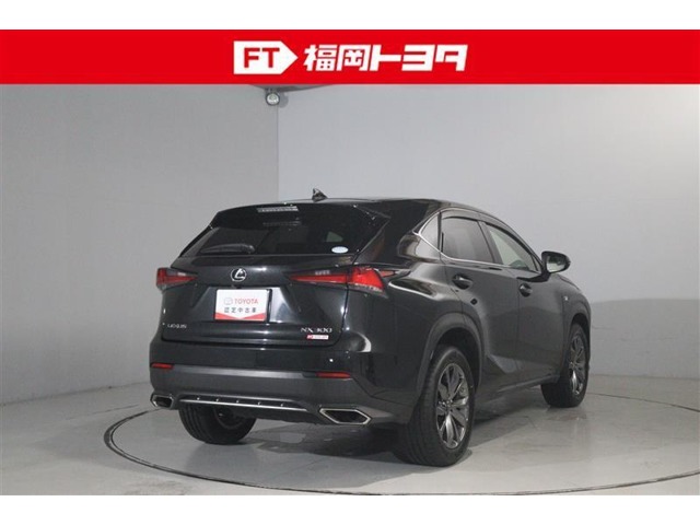 Lexus NX 5