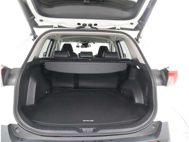 Toyota RAV4 12