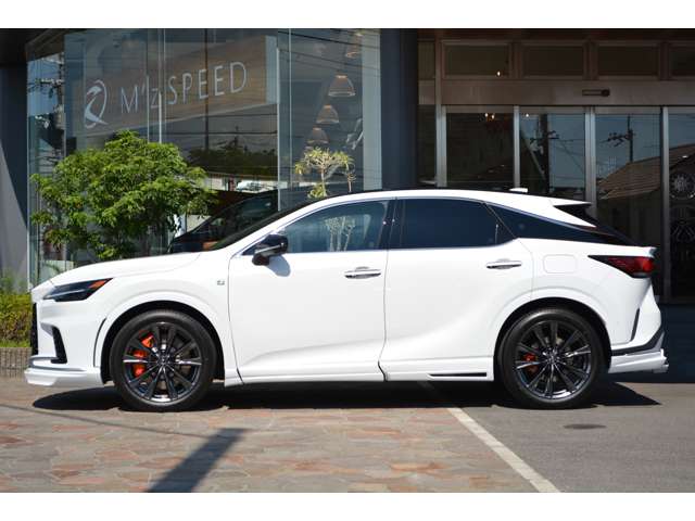 Lexus RX 11