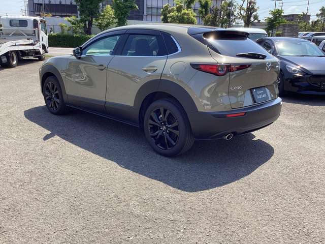 Mazda CX-30 9