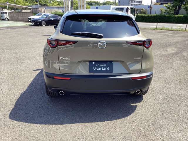 Mazda CX-30 10