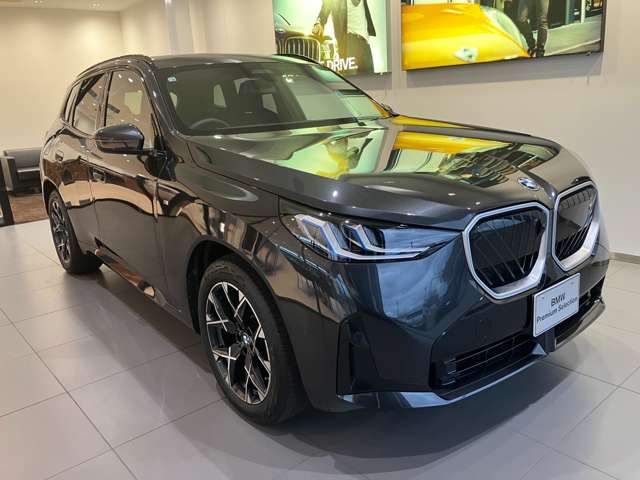 BMW X3 6