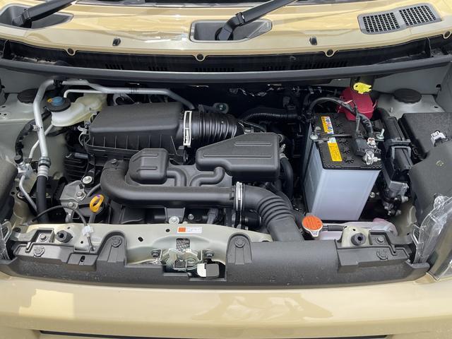 Daihatsu Taft 6