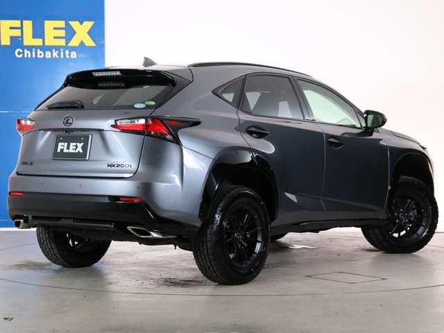 Lexus NX 12