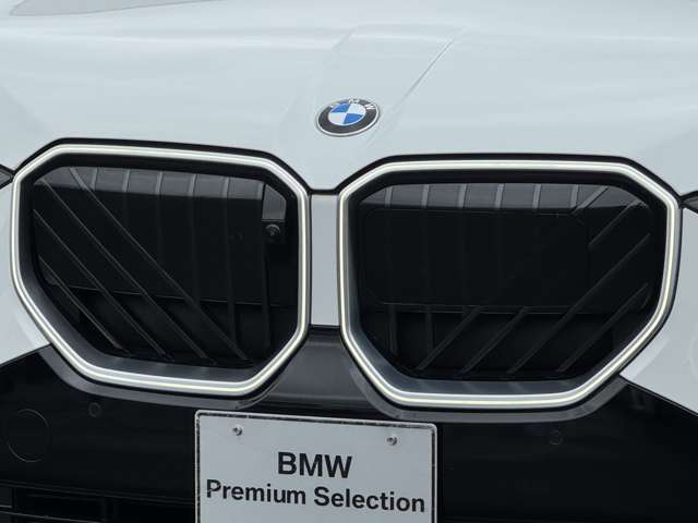 BMW X3 9