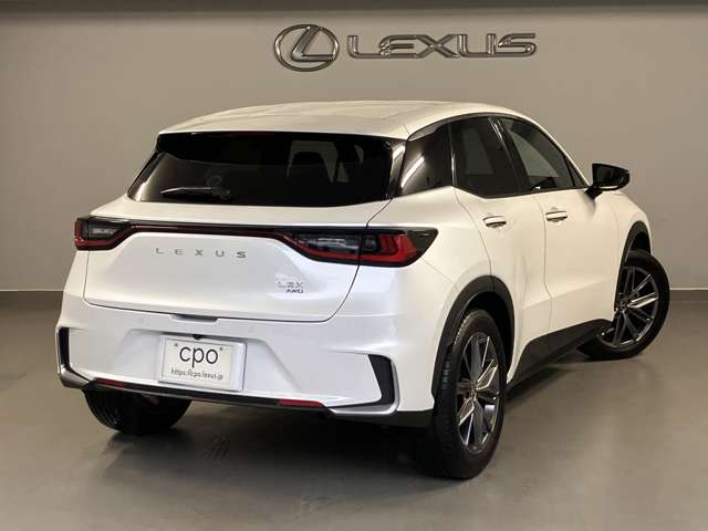 Lexus LBX 11