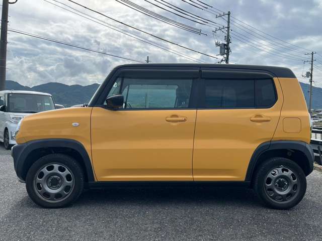 Suzuki Hustler 6