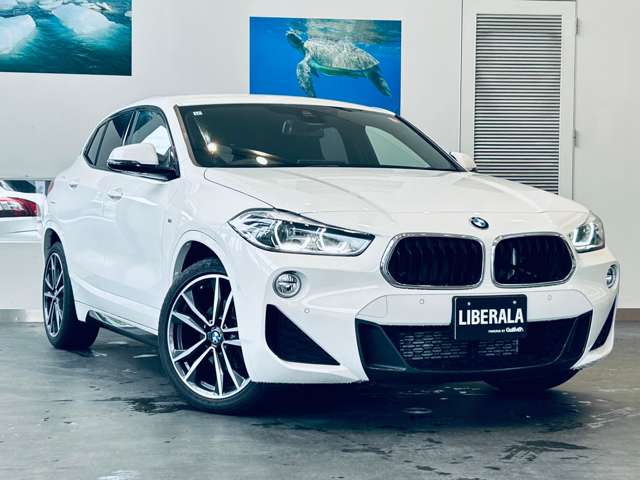 BMW X2 6