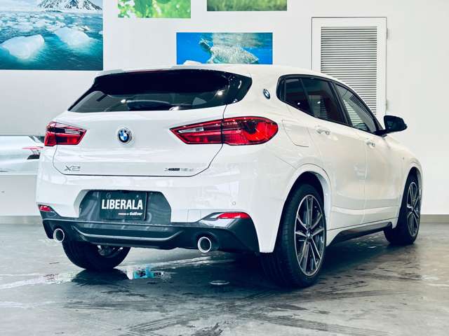 BMW X2 9