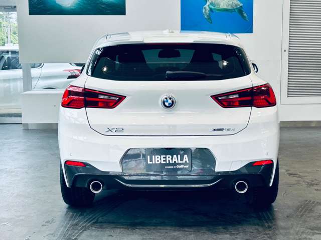 BMW X2 10