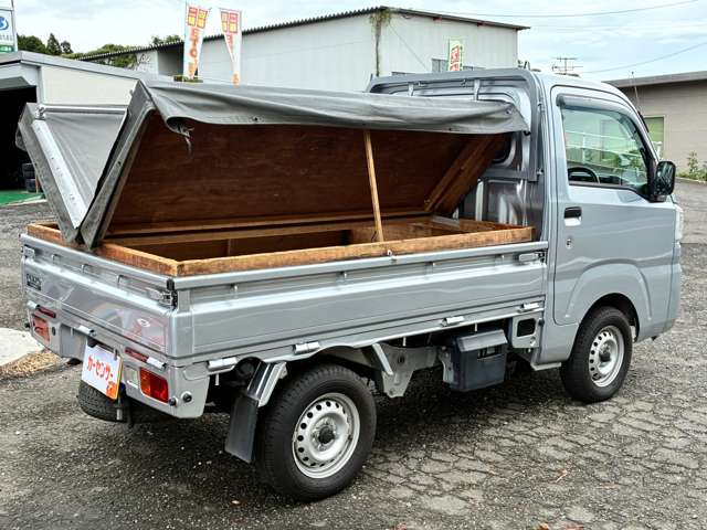 Toyota Pixis Truck 12