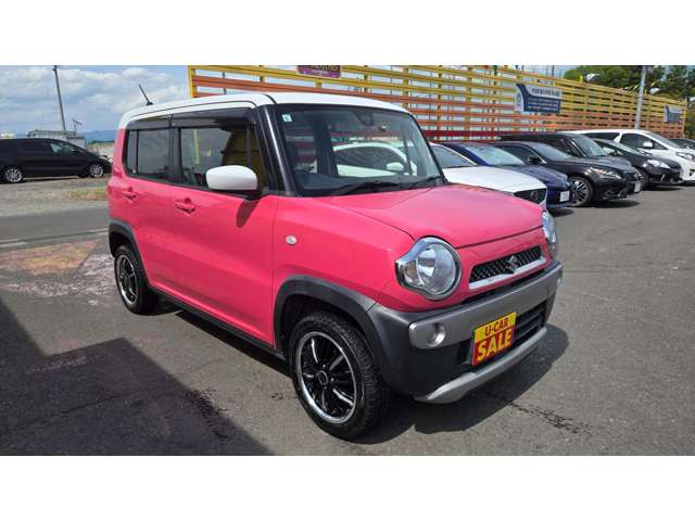 Suzuki Hustler 9