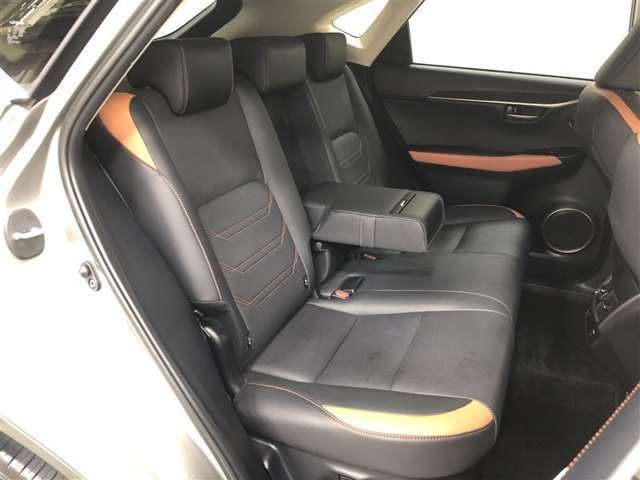 Lexus NX 11
