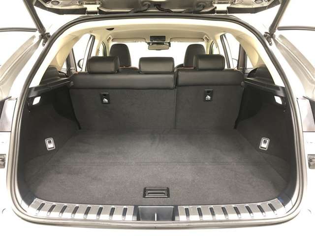 Lexus NX 12
