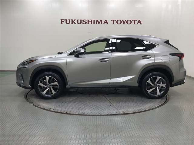 Lexus NX 3