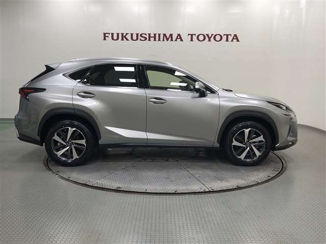 Lexus NX 4