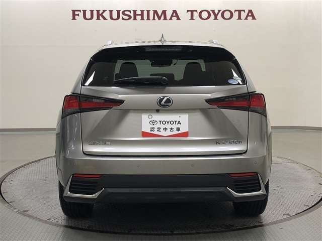 Lexus NX 6