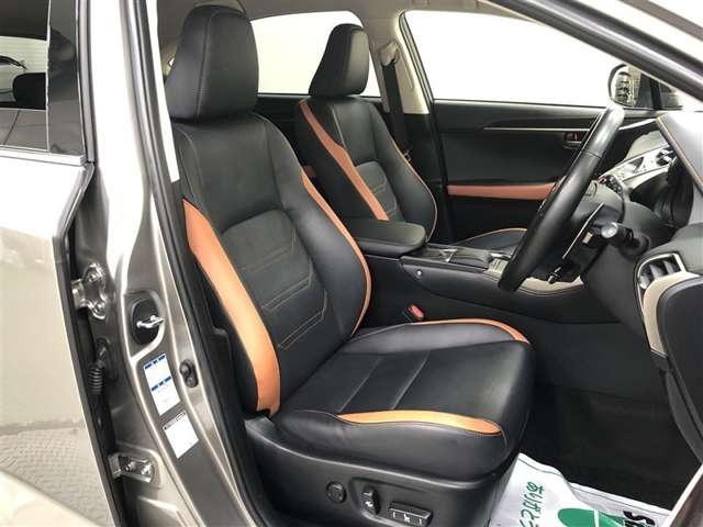 Lexus NX 10